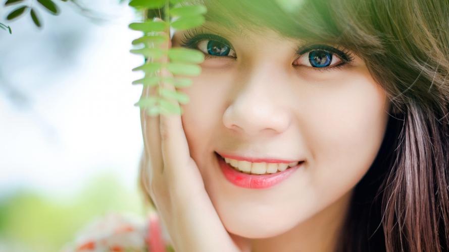 云南普洱亚洲象组团觅食 多部门加强监测